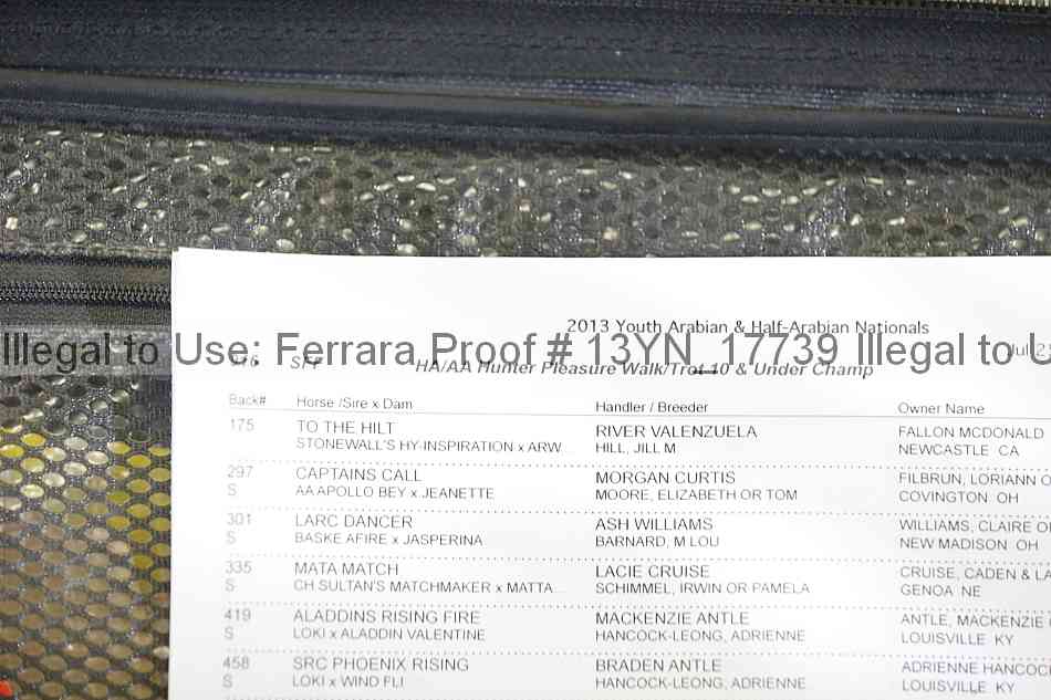 Proof 13yn_17739