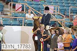 13yn_17783 proof