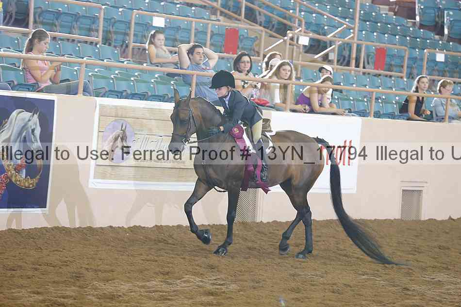 Proof 13yn_17794