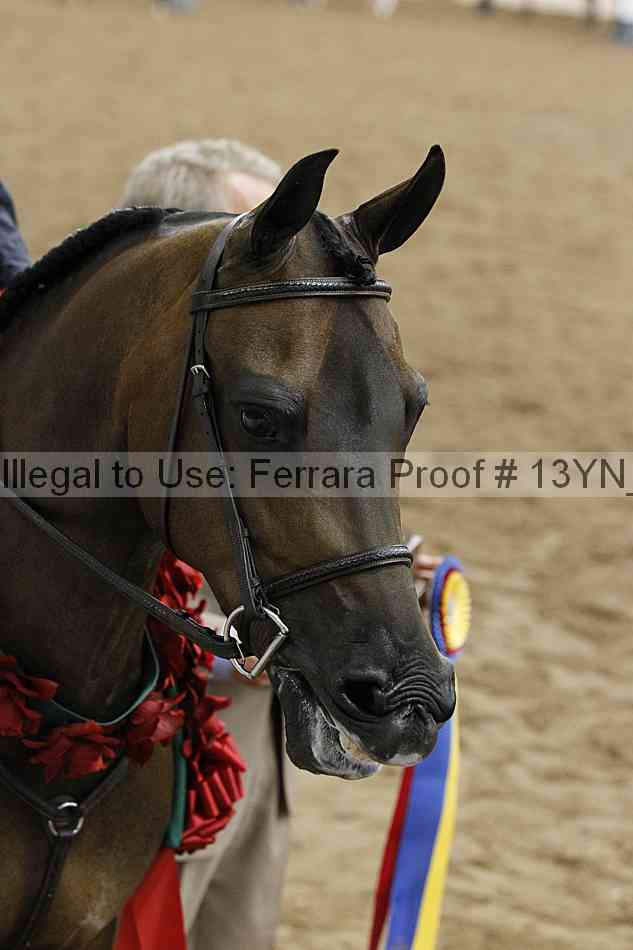 Proof 13yn_17803