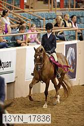 13yn_17836 proof