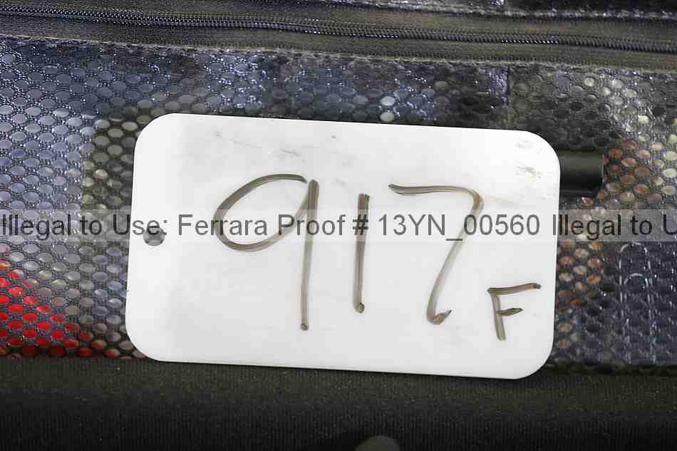 Proof 13yn_00560
