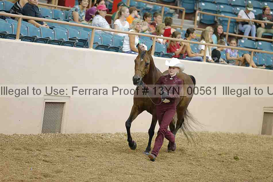Proof 13yn_00561