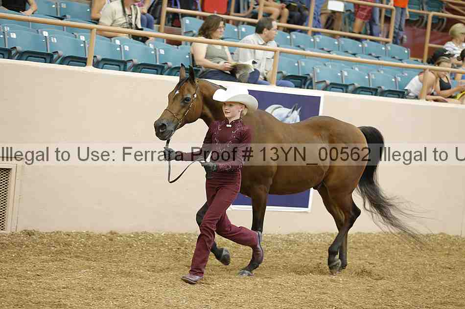 Proof 13yn_00562