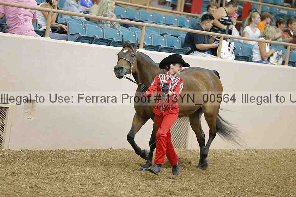 Proof 13yn_00564