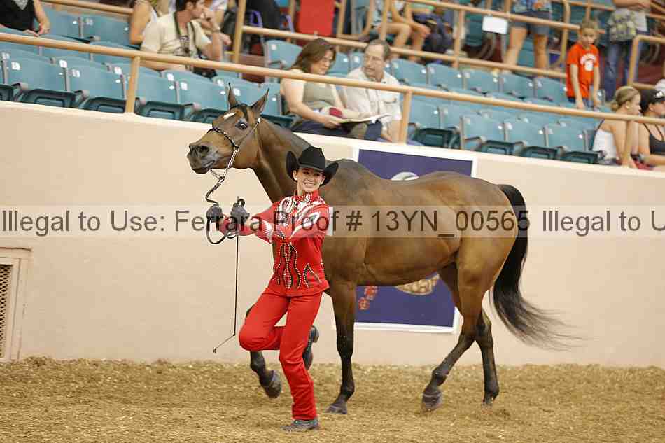 Proof 13yn_00565