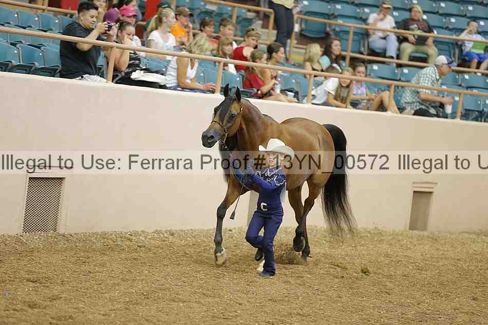 Proof 13yn_00572