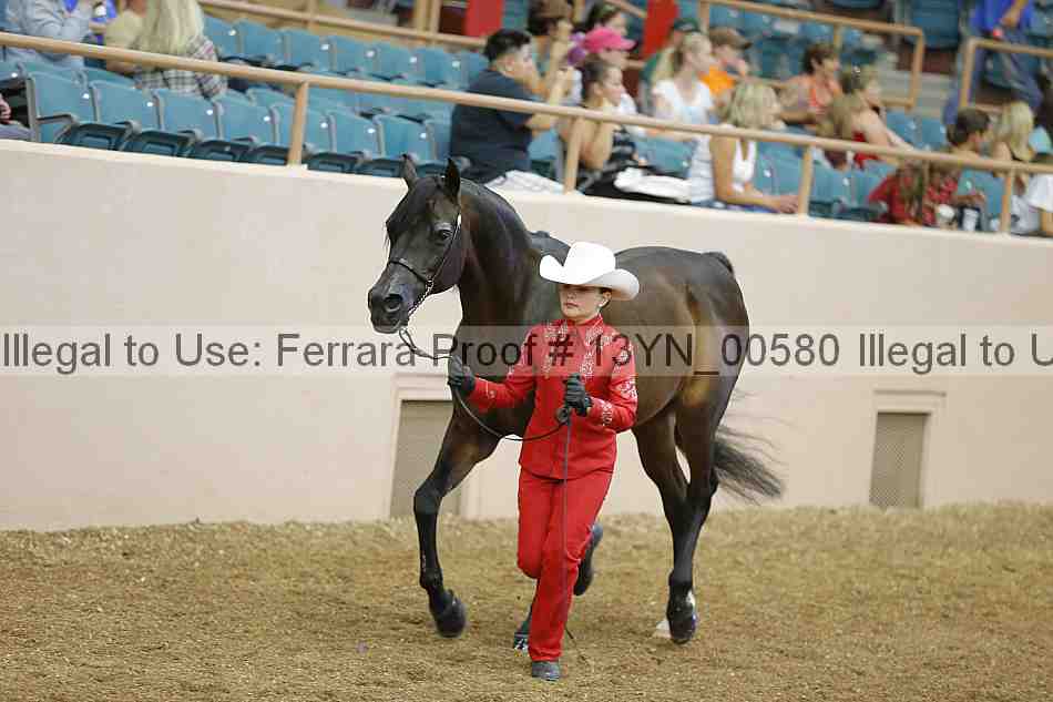 Proof 13yn_00580