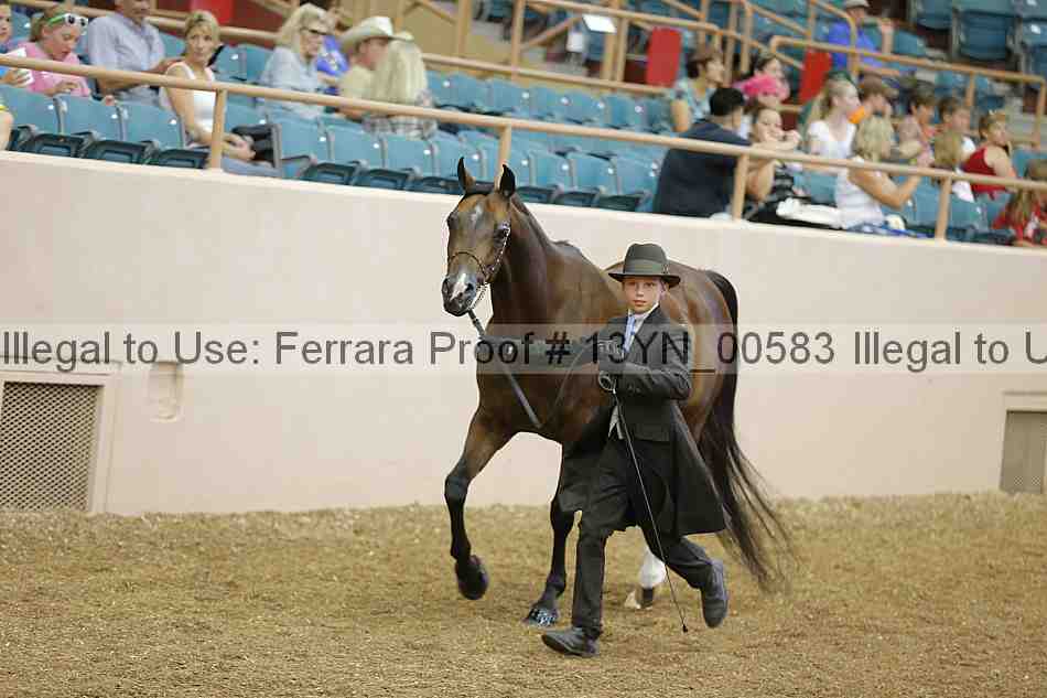 Proof 13yn_00583