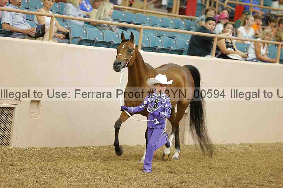 Proof 13yn_00594