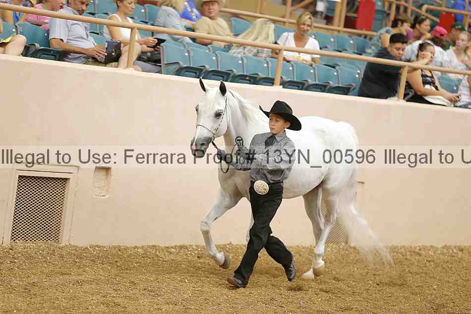 Proof 13yn_00596