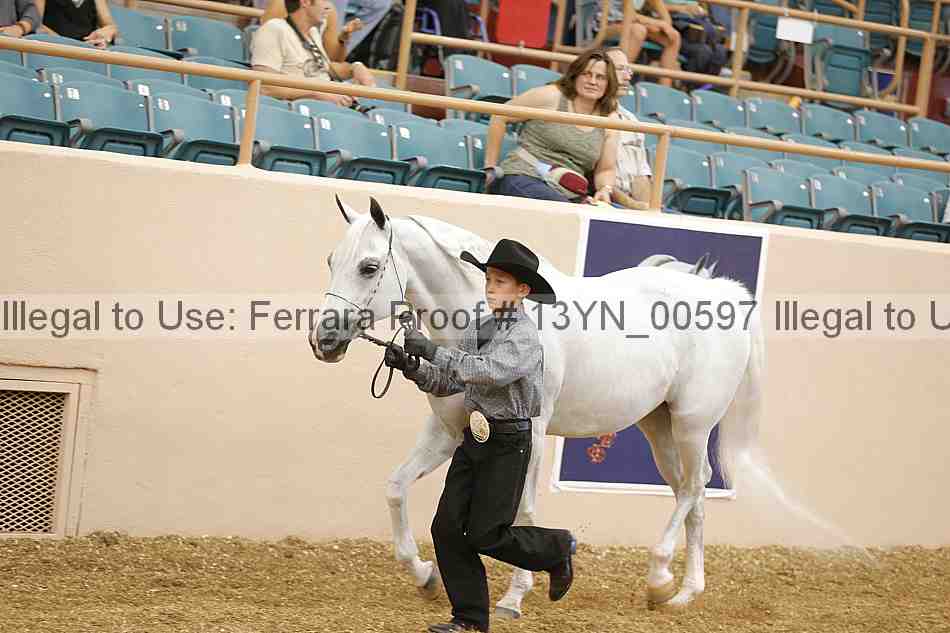 Proof 13yn_00597