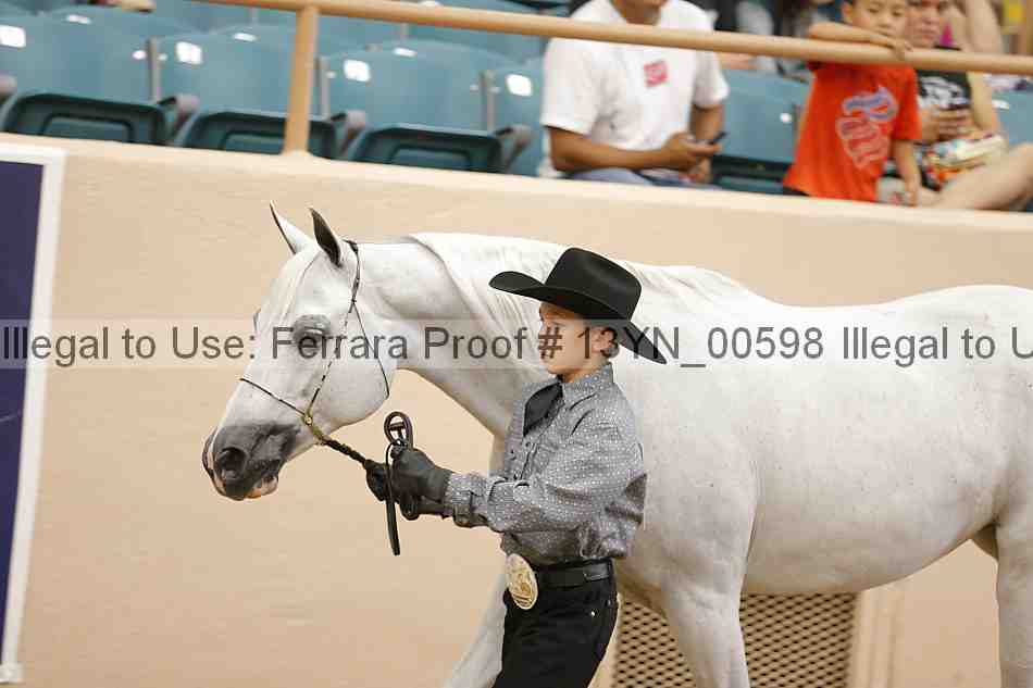 Proof 13yn_00598