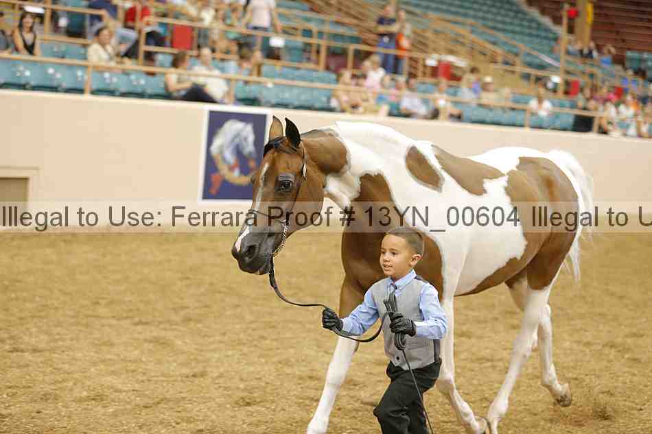 Proof 13yn_00604