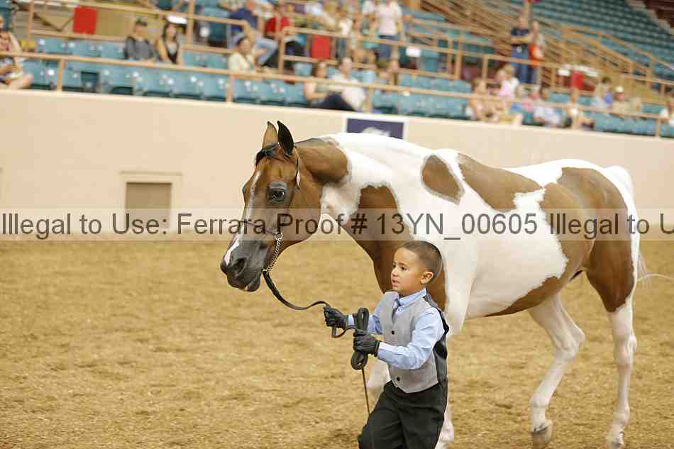 Proof 13yn_00605