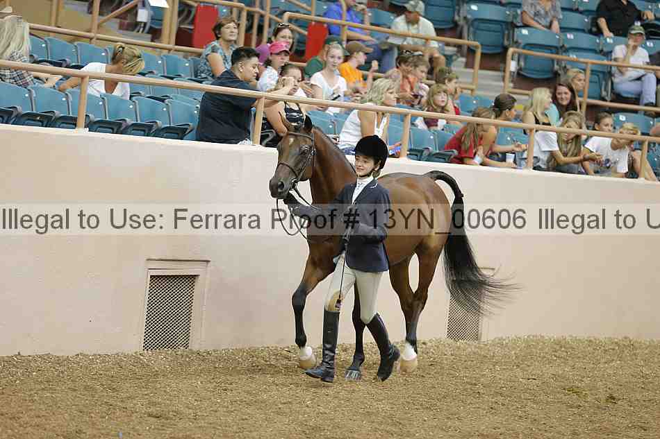 Proof 13yn_00606