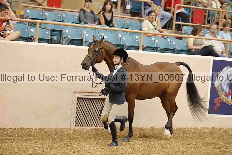 Proof 13yn_00607