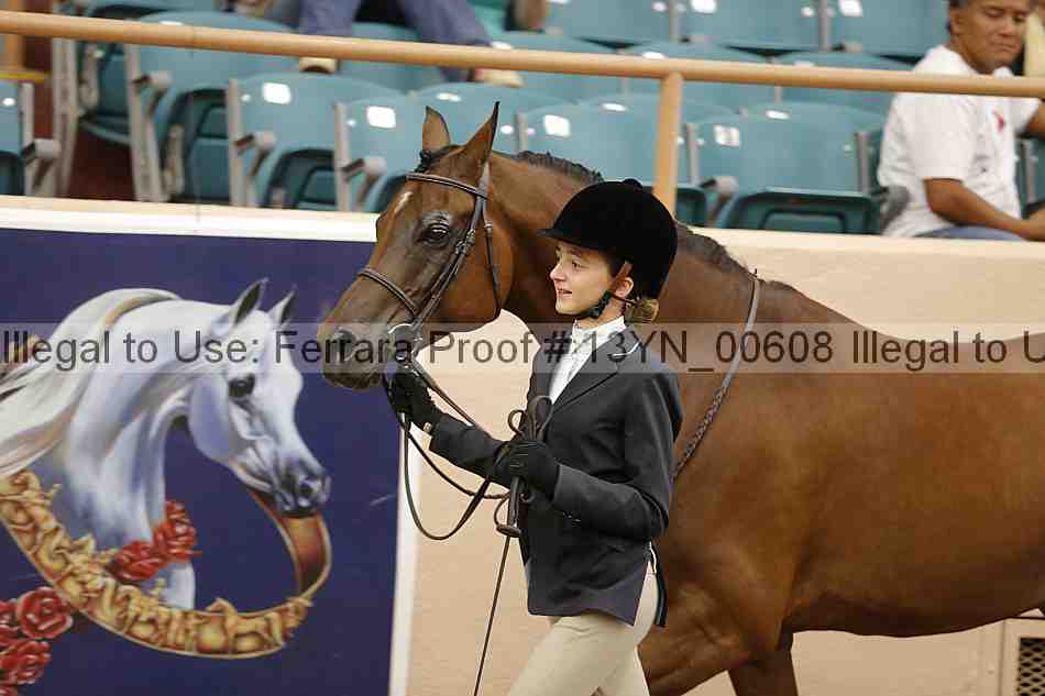 Proof 13yn_00608