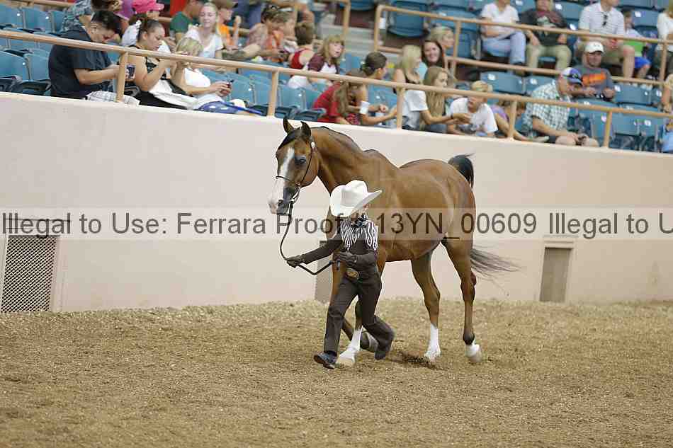 Proof 13yn_00609