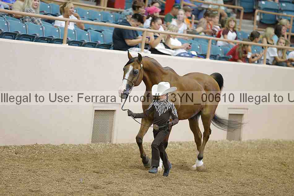 Proof 13yn_00610