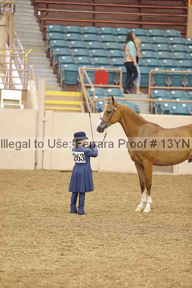 Proof 13yn_00624