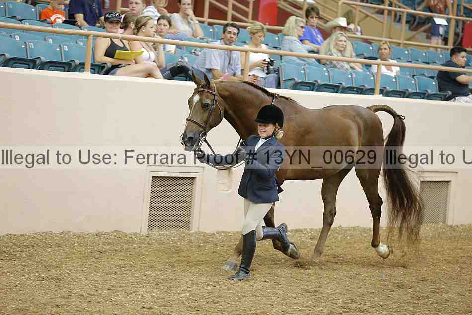 Proof 13yn_00629