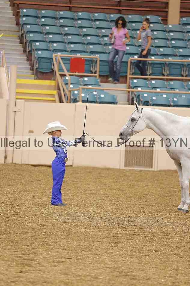 Proof 13yn_00635