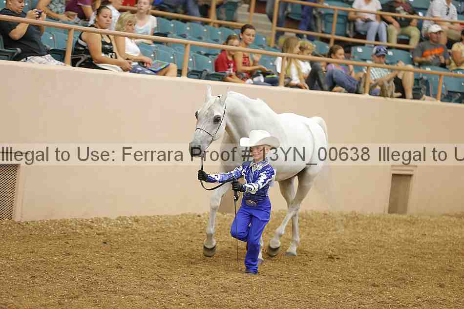Proof 13yn_00638