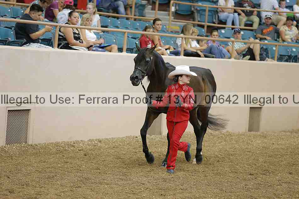 Proof 13yn_00642