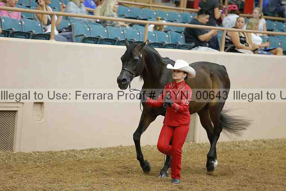 Proof 13yn_00643