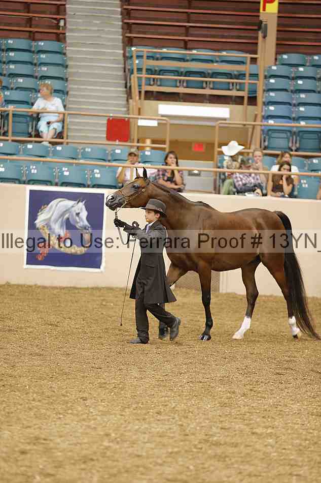 Proof 13yn_00645