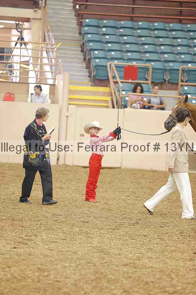 Proof 13yn_00652