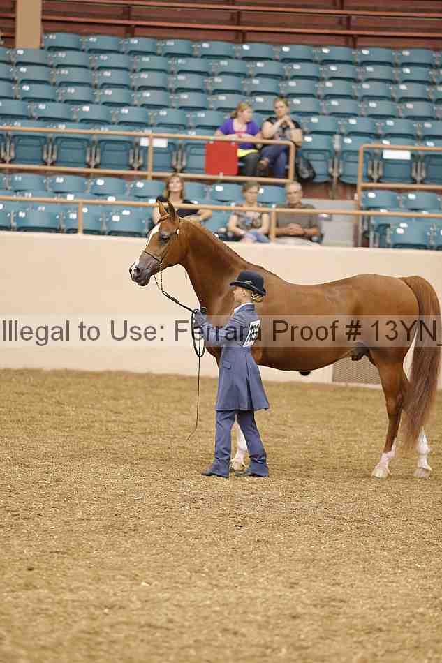 Proof 13yn_00655