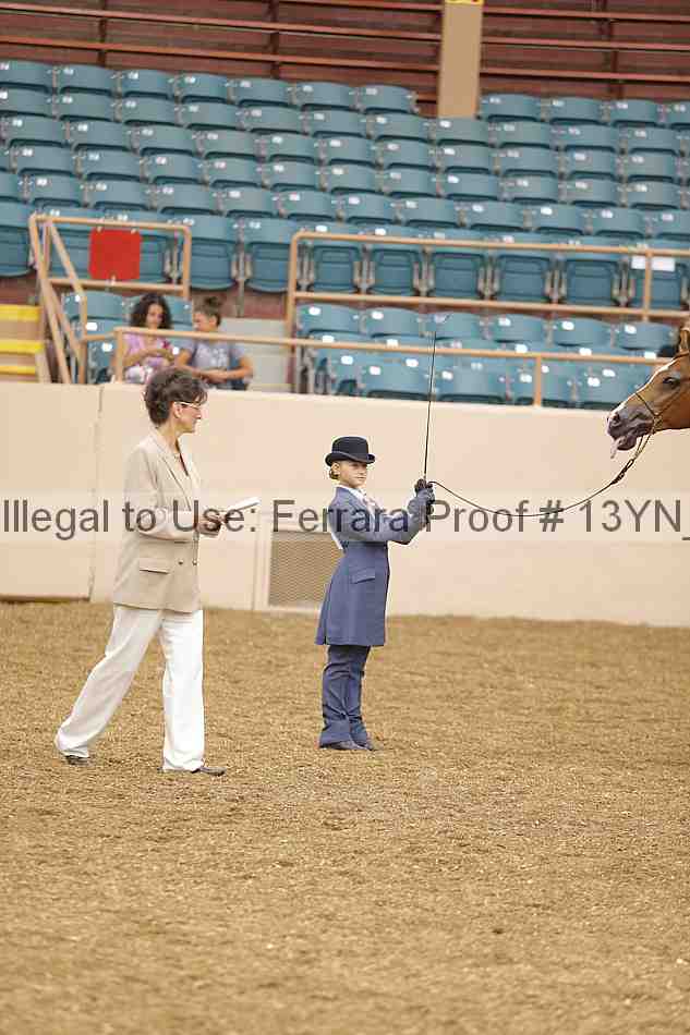 Proof 13yn_00656