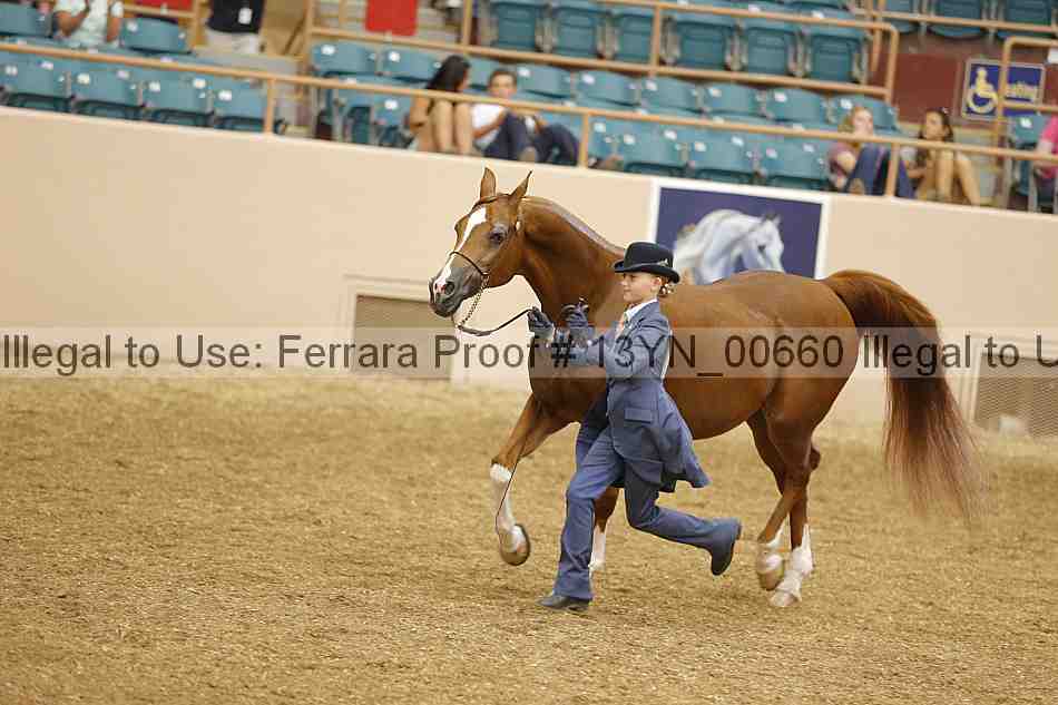 Proof 13yn_00660