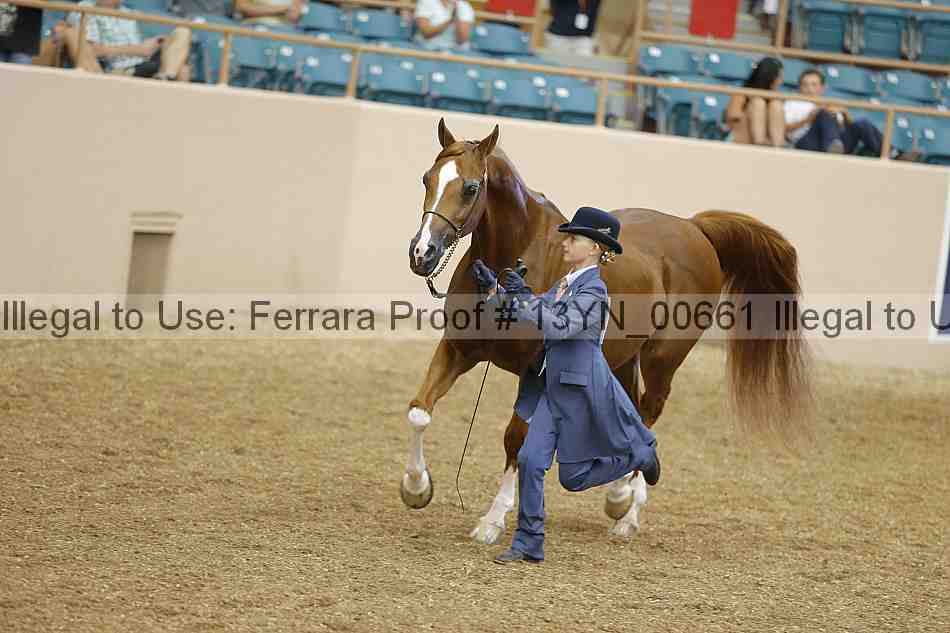 Proof 13yn_00661