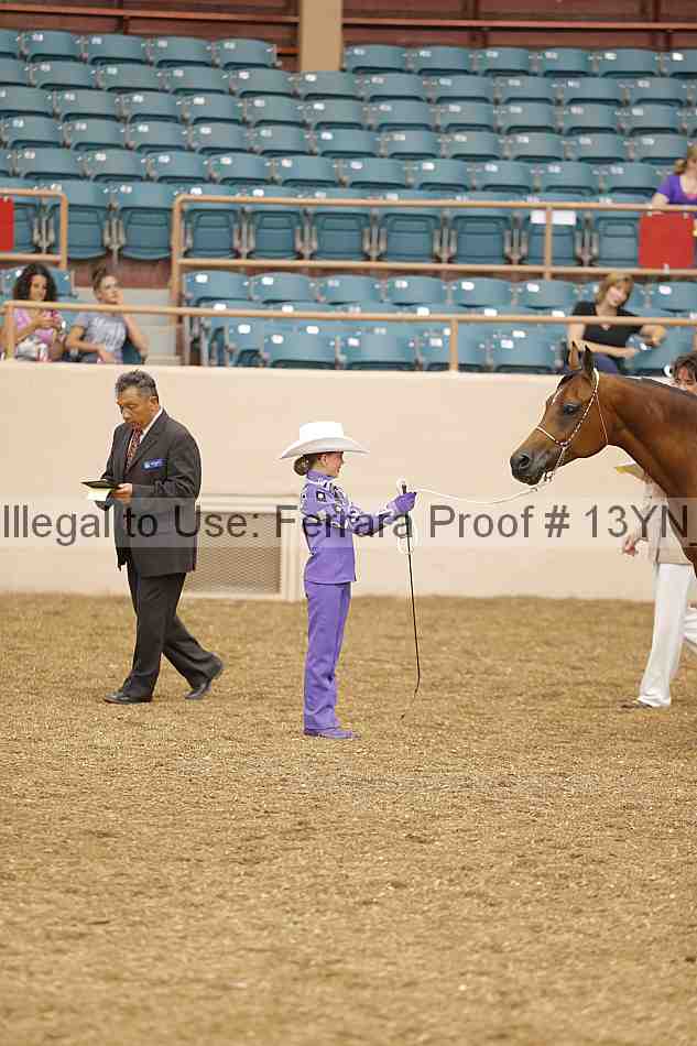 Proof 13yn_00665
