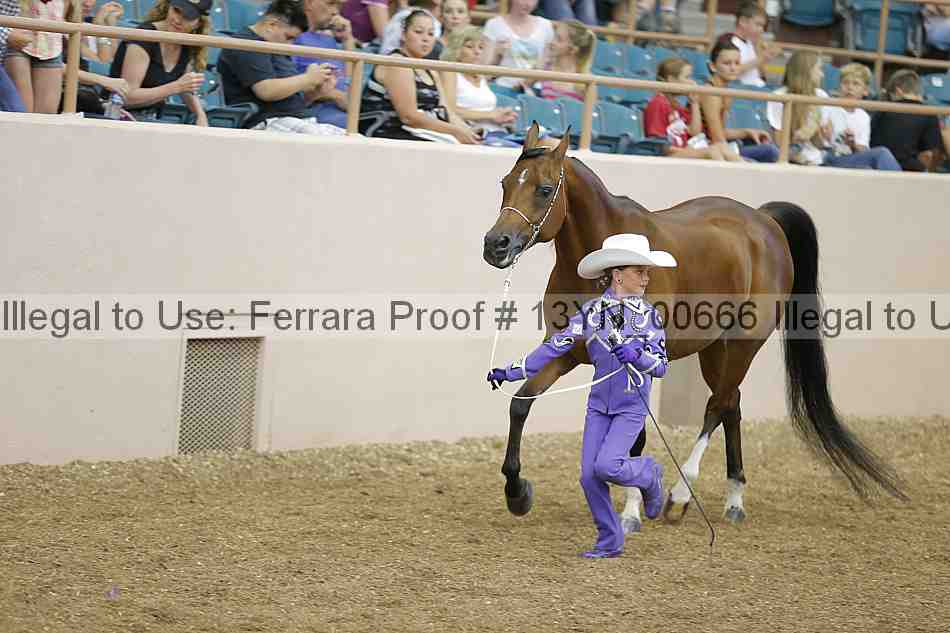 Proof 13yn_00666