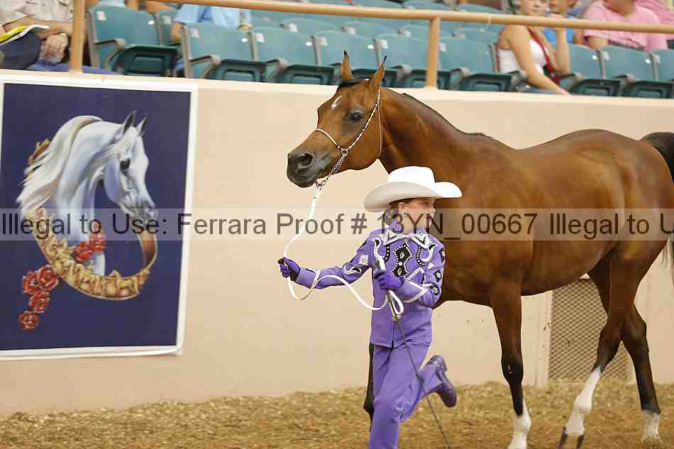 Proof 13yn_00667