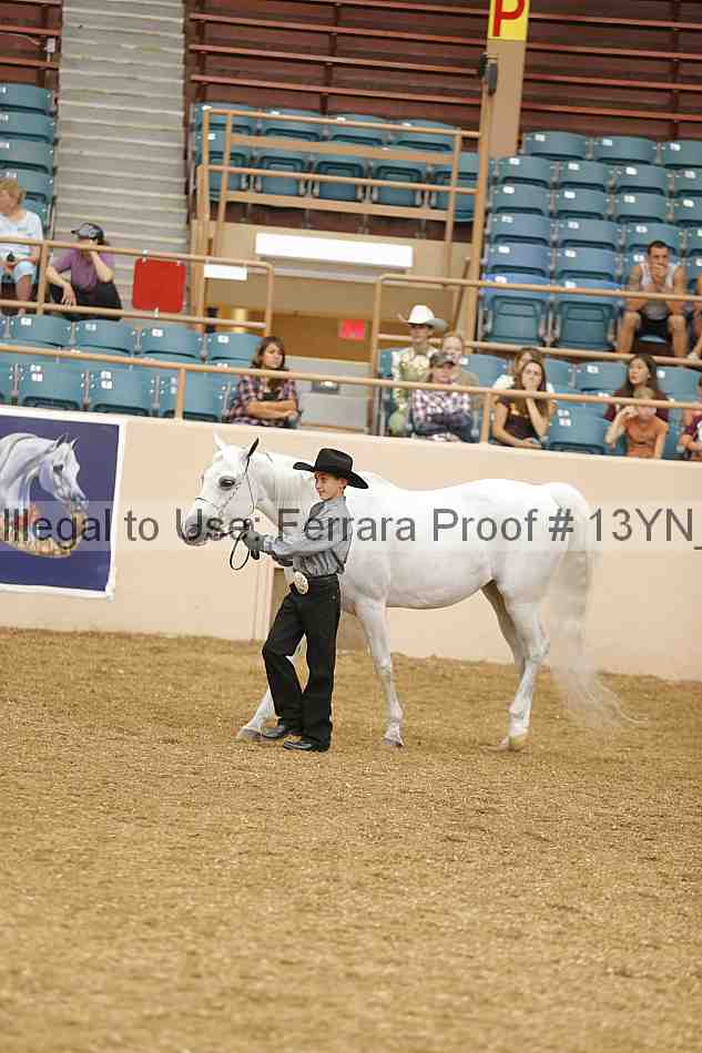 Proof 13yn_00668