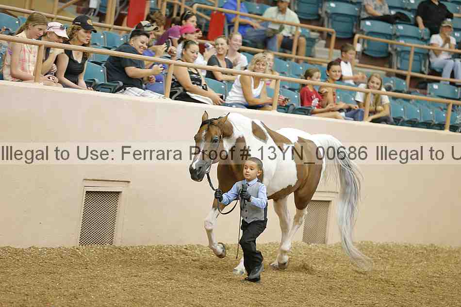 Proof 13yn_00686
