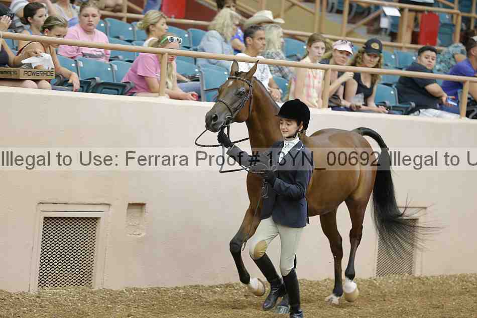 Proof 13yn_00692
