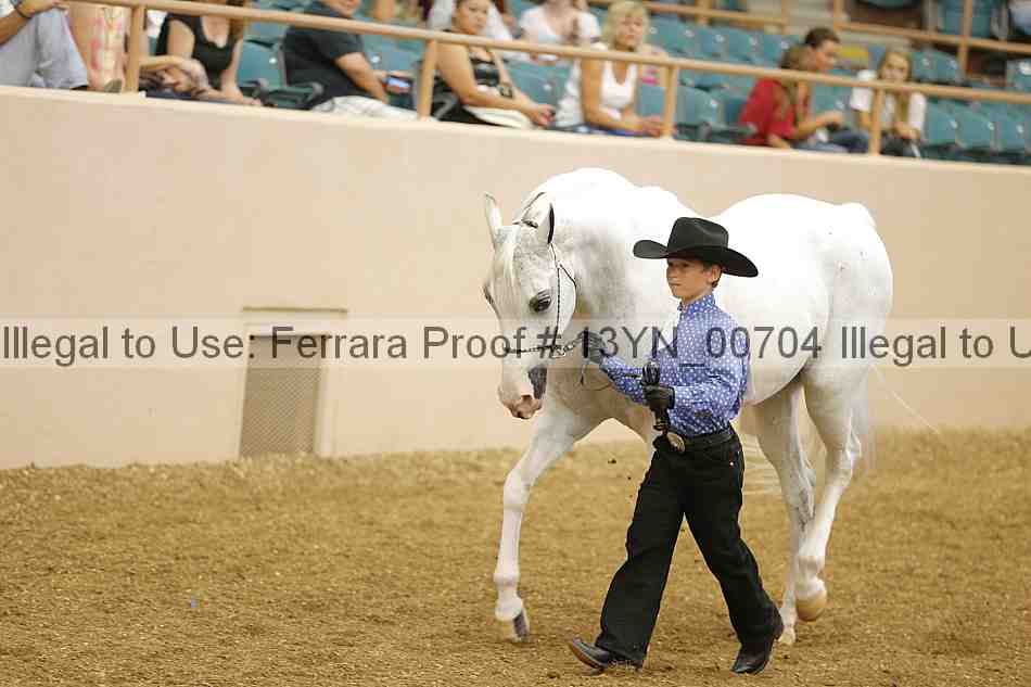 Proof 13yn_00704