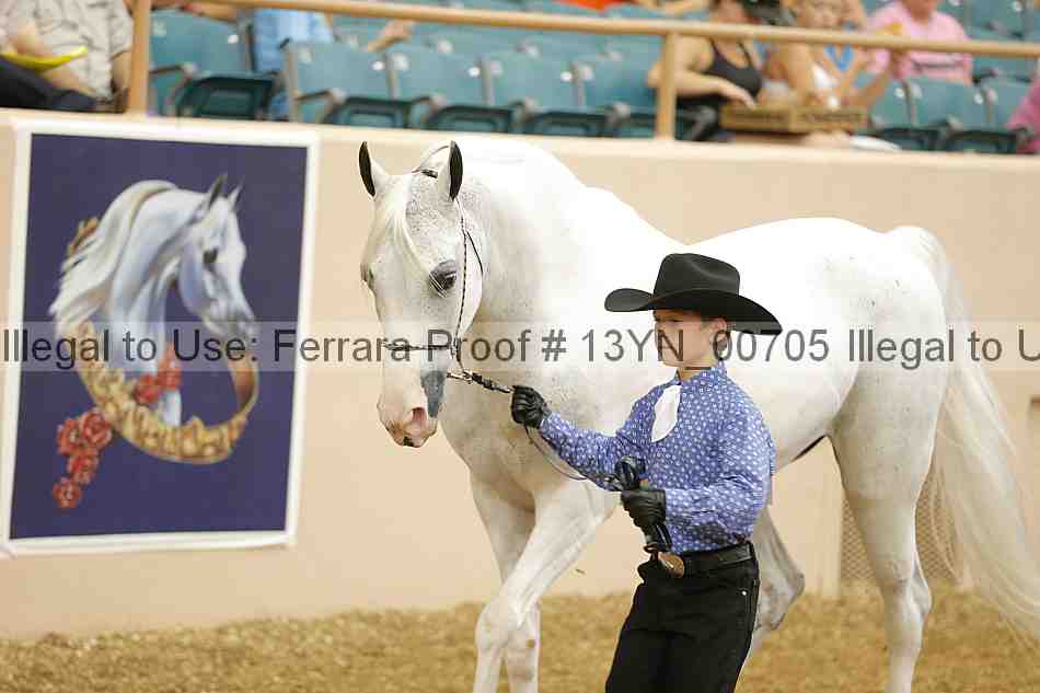 Proof 13yn_00705