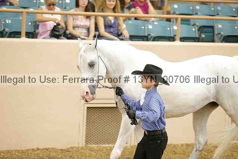 Proof 13yn_00706