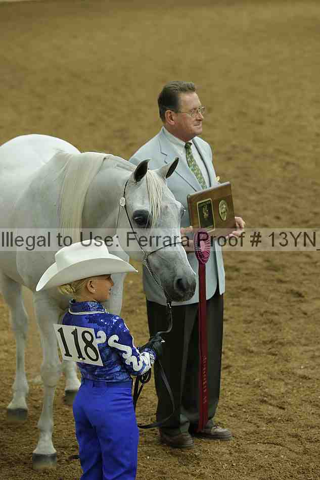 Proof 13yn_00707