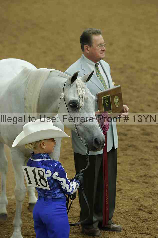 Proof 13yn_00708