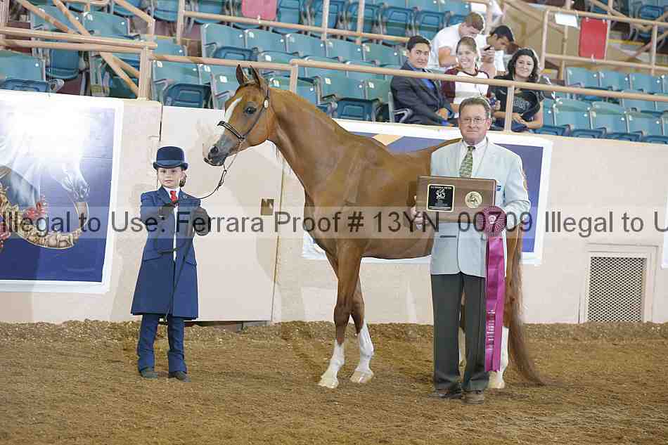 Proof 13yn_00709