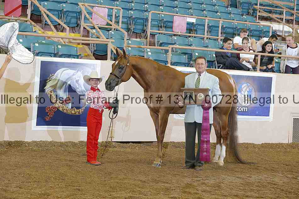 Proof 13yn_00728