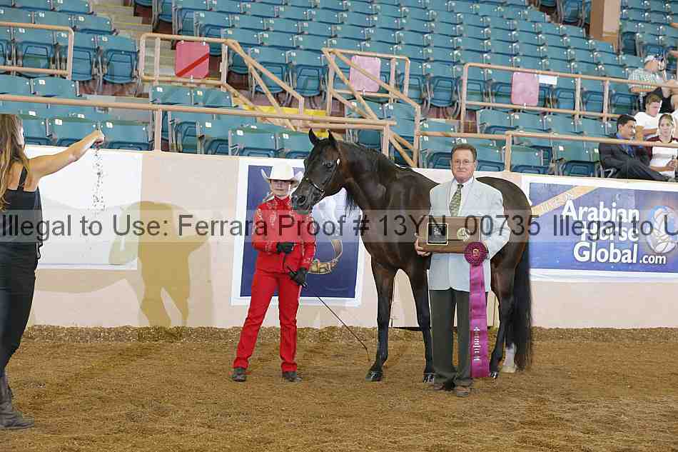 Proof 13yn_00735